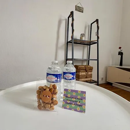Apartment Pelleport - T2 Avec 1 1 Canape Lit 1 Salle De Bain